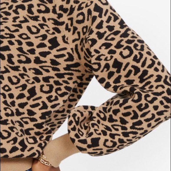Philosophy || V-Neck Cheetah Patterned Bell Sleeve Sweater Size Large - Picture 4 of 13